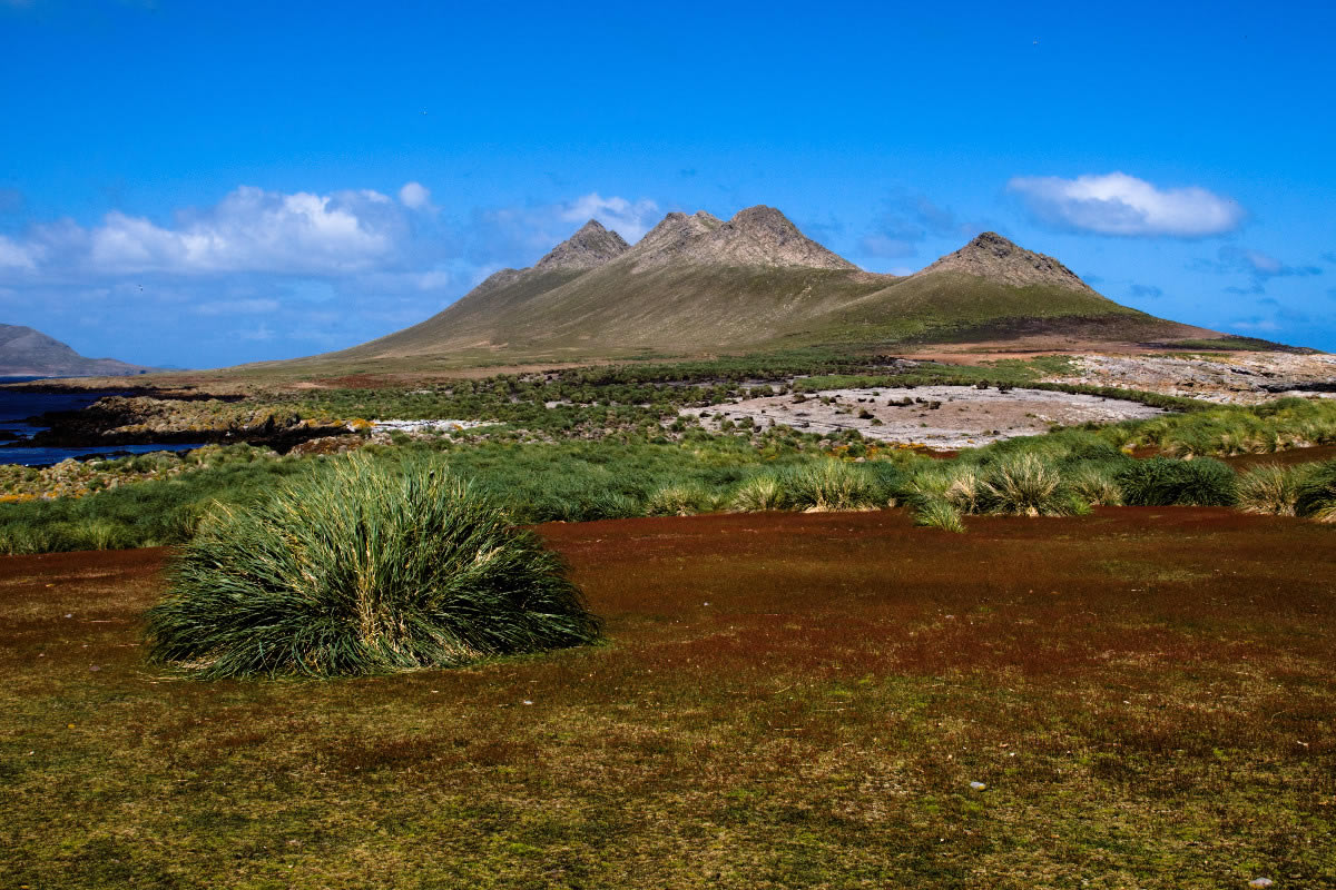 Iles Malouines